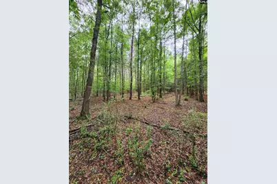 0 Elm Street, Prosperity, SC 29127 - Photo 22