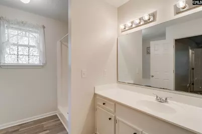 248 N High Duck Trail, Blythewood, SC 29016 - Photo 18