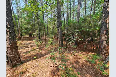 1307 Main Street, West Columbia, SC 29170 - Photo 18