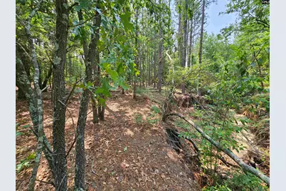 1307 Main Street, West Columbia, SC 29170 - Photo 12