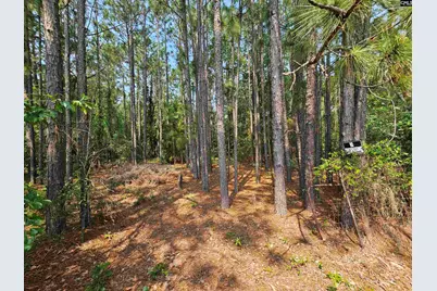 1307 Main Street, West Columbia, SC 29170 - Photo 10