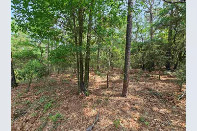 1307 Main Street, West Columbia, SC 29170 - Photo 14