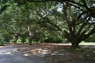 1100 W Carolina Ave, Hartsville, SC 29550 - Photo 92