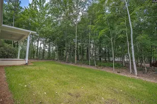 1040 Refuge Pl, Chapin, SC 29036 - Photo 6