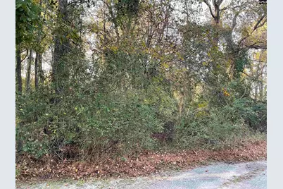 3551 Moonlight Road, Barnwell, SC 29853 - Photo 6