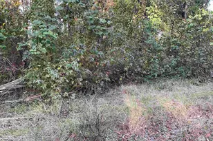 3551 Moonlight Road, Barnwell, SC 29853 - Photo 1