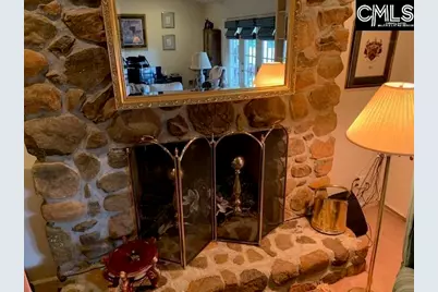 223 Cammack Road, Winnsboro, SC 29180 - Photo 8