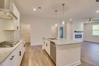 2412 Green Viper Loop, Blythewood, SC 29016 - Photo 14