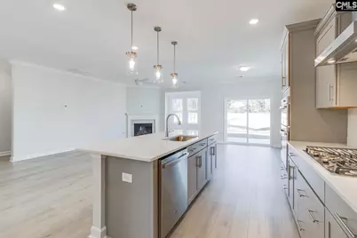 250 Horse Farm Place, Lexington, SC 29072 - Photo 6