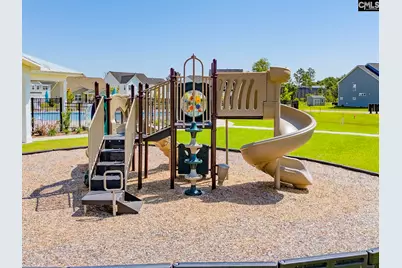 266 Horse Farm Place, Lexington, SC 29072 - Photo 20