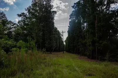 105 Dunwoody Place, Blythewood, SC 29016 - Photo 14