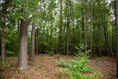 105 Dunwoody Place, Blythewood, SC 29016 - Photo 22