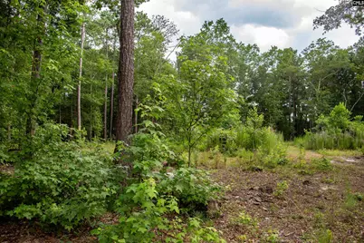 105 Dunwoody Place, Blythewood, SC 29016 - Photo 20