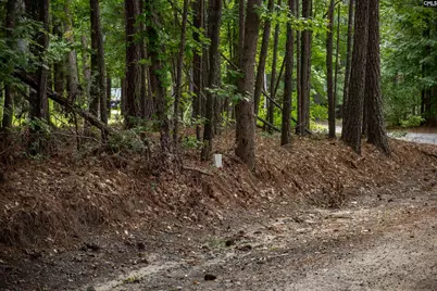 105 Dunwoody Place, Blythewood, SC 29016 - Photo 8