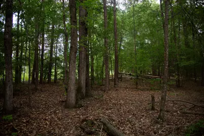 105 Dunwoody Place, Blythewood, SC 29016 - Photo 24