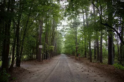 105 Dunwoody Place, Blythewood, SC 29016 - Photo 12