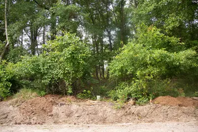 105 Dunwoody Place, Blythewood, SC 29016 - Photo 6