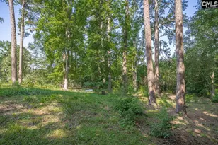 156 Lake Elizabeth Dr, Columbia, SC 29203 - Photo 44