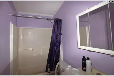 2081 Highway 178, Swansea, SC 29160 - Photo 8