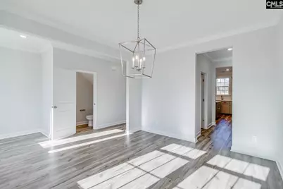 242 Horse Farm Place, Lexington, SC 29072 - Photo 6