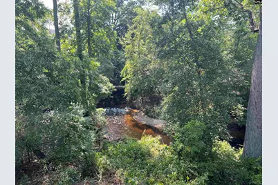 127 Brooklet Drive, Lexington, SC 29072 - Photo 50