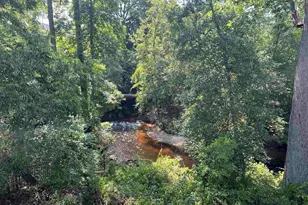 127 Brooklet Dr, Lexington, SC 29072 - Photo 50