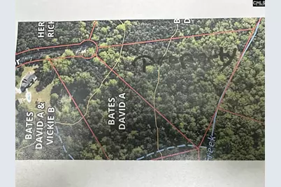 320 Dewdrop Drive, Ridgeway, SC 29130 - Photo 6