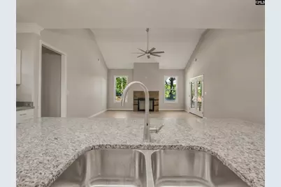 617 Newberry Drive, Chapin, SC 29036 - Photo 36