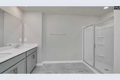 170 Livingston Woods Drive, Irmo, SC 29063 - Photo 24