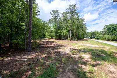 227 Maxie Road Lot 3 #Lot 3, Lexington, SC 29072 - Photo 8
