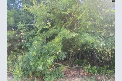 115 Beacon Point Road #33, Irmo, SC 29063 - Photo 4