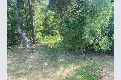 115 Beacon Point Road #33, Irmo, SC 29063 - Photo 2