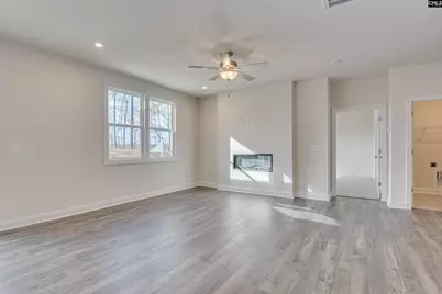 326 Chapin Place Way, Chapin, SC 29036 - Photo 14