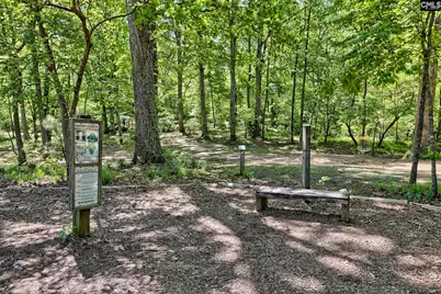 326 Chapin Place Way, Chapin, SC 29036 - Photo 42