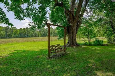 274 Old Harden Road, Winnsboro, SC 29180 - Photo 38