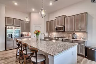 203 Doe Mdw Ln, Elgin, SC 29045 - Photo 1