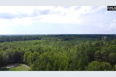 Tbd Baxley Road, Bowman, SC 29018 - Photo 2