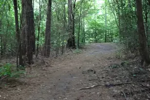 2815 Hwy 1 S, Elgin, SC 29045 - Photo 6