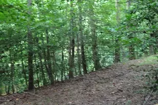 2815 Hwy 1 S, Elgin, SC 29045 - Photo 10