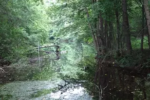 2815 Hwy 1 S, Elgin, SC 29045 - Photo 12