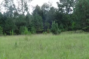 2815 Hwy 1 S, Elgin, SC 29045 - Photo 6