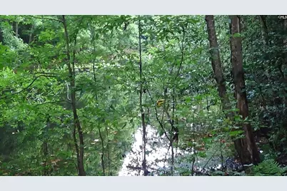 2815 Highway 1 S, Elgin, SC 29045 - Photo 12