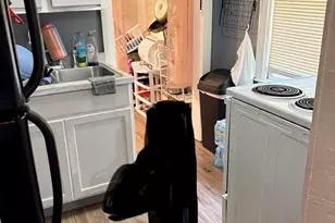 2238 Center St, Columbia, SC 29204 - Photo 8