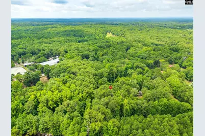 1253 Syrup Mill Road, Blythewood, SC 29016 - Photo 46