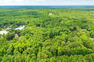 1253 Syrup Mill Rd, Blythewood, SC 29016 - Photo 46