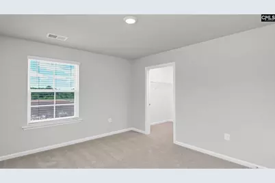 172 Livingston Woods Drive, Irmo, SC 29063 - Photo 26