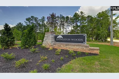 172 Livingston Woods Drive, Irmo, SC 29063 - Photo 36