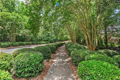 247 Gallantry Drive, Irmo, SC 29063 - Photo 58