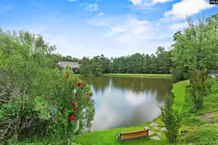 247 Gallantry Dr, Irmo, SC 29063 - Photo 52