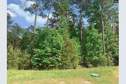 542 Golden Rod Court, Columbia, SC 29016 - Photo 2